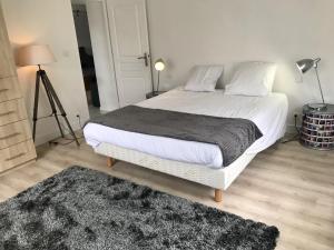 sypialnia z dużym białym łóżkiem z dywanem w obiekcie Gîte plain-Pied avec jardin du Centre Alsace w mieście Ebersheim