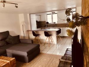 salon z kanapą i kuchnią w obiekcie Gîte plain-Pied avec jardin du Centre Alsace w mieście Ebersheim