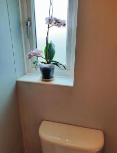 una finestra con un vaso di fiori in cima a un water di Comfortable quiet room near Cambridge a Long Stanton