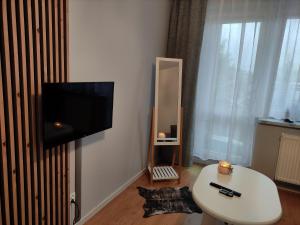 Televízia a/alebo spoločenská miestnosť v ubytovaní Apartament Jagiełły 14