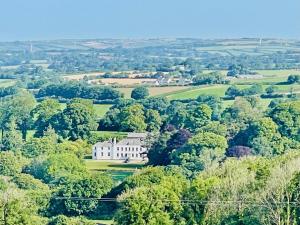 a large white house in the middle of trees at Trewardale in Bodmin