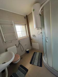 a bathroom with a shower and a toilet and a sink at Apartmani Jovana in Jagodina