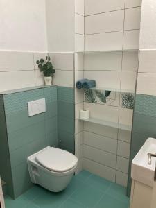 a small bathroom with a toilet and a sink at Wellness penzion Harmonie Rohanov in Prachatice