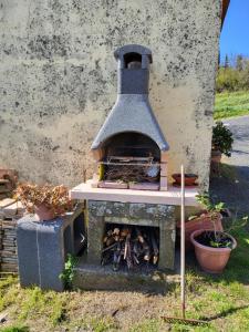 a outdoor oven with a fire inside of it at I Castagnini in Montecatini Val di Cecina