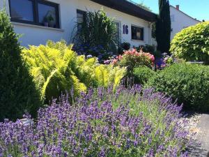 Zahrada ubytování Ferienwohnung Kirschenlohr