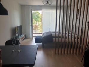 TV a/nebo společenská místnost v ubytování Luxus Apartment in Burghausen