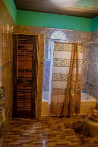 een badkamer met een douchegordijn en een toilet bij Blue Berry Hill Villa in Discovery Bay