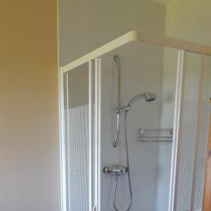 łazienka z prysznicem z głowicą prysznicową w obiekcie Craig Cottage Self-catering w mieście Bushmills