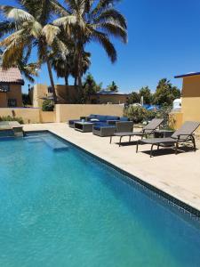 - une piscine bordée de chaises et de palmiers dans l'établissement Mystic Breeze, à El Pescadero