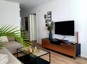 een woonkamer met een bank en een flatscreen-tv bij Römerpark 2 Zi-Appartement in Lindau
