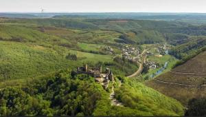 eine Luftansicht einer alten Burg in einem Wald in der Unterkunft Trusties in Dirbach