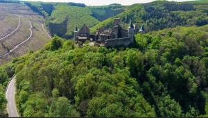 un viejo castillo en una colina en el bosque en Trusties en Dirbach