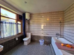 a bathroom with a toilet and a sink and a tub at The Bunker Burwa Manali in Manāli