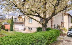 a house with a tree in front of it at New Studio with AirCon & FREE Parking in Ljubljana
