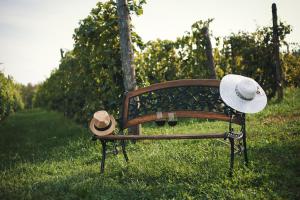 un banco con dos sombreros sentados en el césped en La Bosca agriturismo, en Gavardo