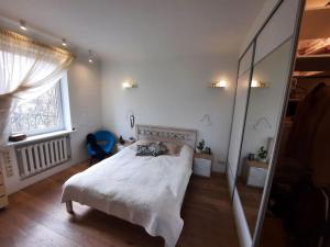 a bedroom with a bed and a large mirror at Cozy private house with a yard & parking in Riga