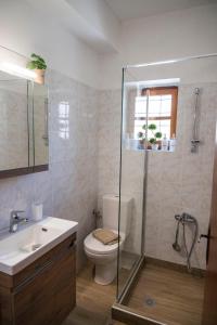 Zagori Home في مونوديندري: حمام مع دش ومرحاض ومغسلة