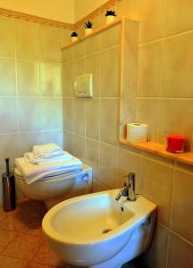 uma casa de banho com um lavatório e um WC em N. & A. Sweet Home em Lucca