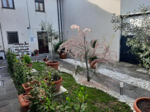 um jardim com vasos de plantas num edifício em N. & A. Sweet Home em Lucca