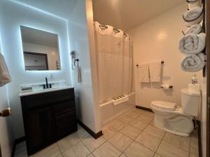La salle de bains est pourvue de toilettes, d'un lavabo et d'une douche. dans l'établissement Big South Fork Lodge, 