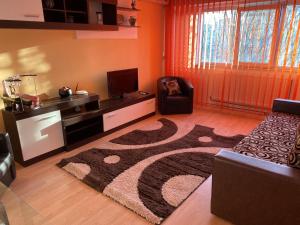 a living room with a rug and a chair and a television at Waves of the Sea in Mangalia