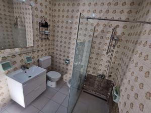 a bathroom with a shower and a toilet and a sink at IstraCycle in Lucija +32 photos