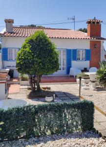 une maison avec un arbre en face dans l'établissement Casa de Praia, à Vila do Conde