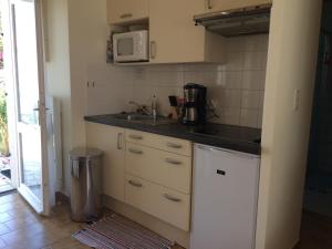 kuchnia ze zlewem i kuchenką mikrofalową w obiekcie La maisonnette des vacances w mieście Saint-Georges-dʼOléron