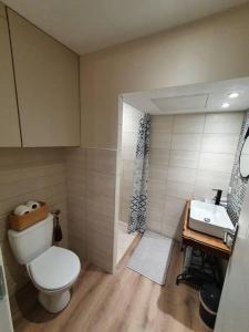 a bathroom with a toilet and a sink at Charmant appartement au calme in Saint-Romain-la-Motte