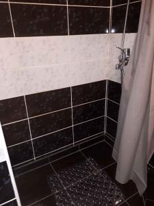 a bathroom with a black and white tiled shower at Apartment Valbandon, Istria 5 in Valbandon