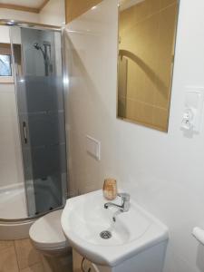 ein Bad mit einem Waschbecken, einer Dusche und einem WC in der Unterkunft Mieszkanie na Mazurach in Giżycko