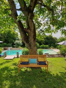 um banco de madeira sentado sob uma árvore ao lado de uma piscina em Le Mas Réolais em Saint-Sève