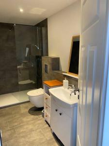 a bathroom with a sink and a toilet and a shower at Traumhafte Ferienwohnung im Landhausstil in Hanshagen