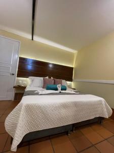 HOTEL CAMPESTRE MANOA客房内的一张或多张床位