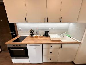 Köök või kööginurk majutusasutuses Lexi Borovi apartman