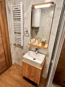 Vannituba majutusasutuses Lexi Borovi apartman