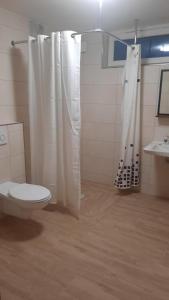 a bathroom with a shower curtain and a toilet at Apartement auf dem Lande in Rudelzhausen