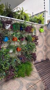 a wall filled with lots of plants at Área vip maranduba in Ubatuba