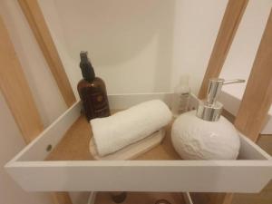 un lavandino in bagno con asciugamano e dispenser di sapone di Appartement Cosy Paris centre a Parigi