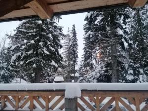 widok z pokładu pokrytego śniegiem drzew w obiekcie Willa Mitia w Zakopanem