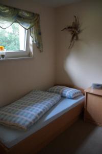 a bed in a room with a window at Holiday Home Martina in Dresden