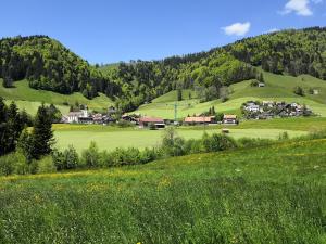 a green field with a village in the mountains at Apartment am Birkenweg 