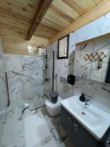 ein Badezimmer mit einem weißen Waschbecken und einem WC in der Unterkunft Çimen apart in Çamlıhemşin
