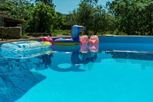 ein Pool mit zwei aufblasbaren Gegenständen in einem Pool in der Unterkunft Casal das Fontainhas in Alcobaça