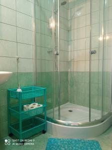 a bathroom with a shower with a glass door at Nadmorski apartament Sunset w Stegnie - Mierzeja Wiślana in Stegna