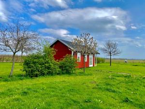 eine rote Scheune auf einem grünen Rasen in der Unterkunft De Heeren Hoeve Carpe Diem in Heijen