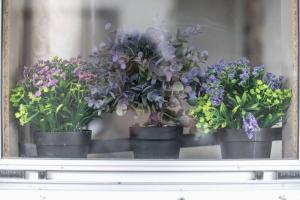 três potes de flores sentados numa janela em Ano Patisia Station Studio em Atenas