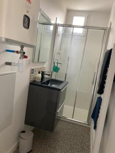 ein Bad mit einem Waschbecken und einer Dusche in der Unterkunft 99 BIS FP in Limoges