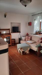 sala de estar con sofá y TV en Casa Indipendente Val d'Ayas - Challand Saint Anselme, en Challand Saint Anselme
