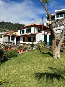 a house with a tree in front of a yard at Tropical Garden in Arco da Calheta